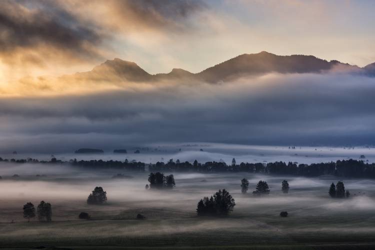 Autumn Morning... à Nina Pauli