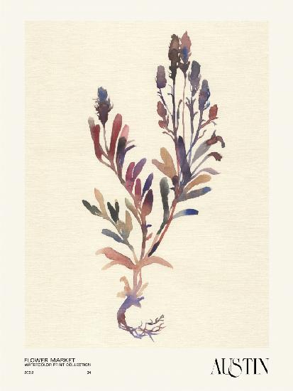 Watercolor print collection. Flower market - Austin