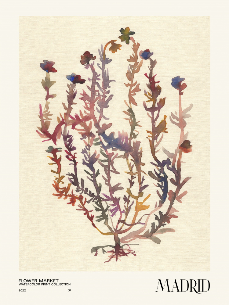 Watercolor print collection. Flower market - Madrid à NKTN
