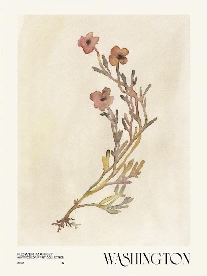 Watercolor print collection. Flower market - Washington