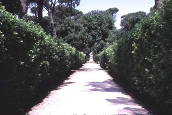 View of the garden, detail of the walkway lined with boxwood hedges, designed by Nanni di Baccio Big à 