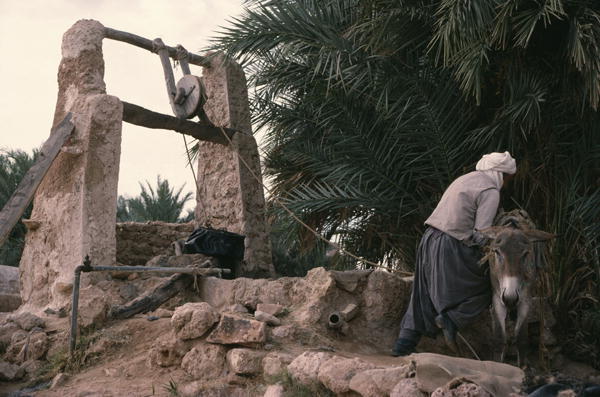 A well, Mz''ab valley (see also 267349) (photo)  à 