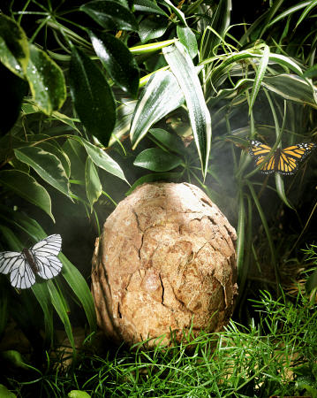 A Fossilized Dinosaur Egg, Probably Of The Sauropod Hypselosaurus à 