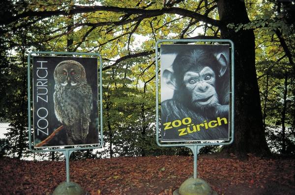 Animal signboards (photo)  à 