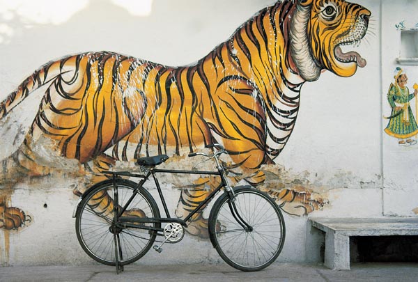 Bicycle at wall painting of tiger , Udaipur, Rajasthan, India (photo)  à 