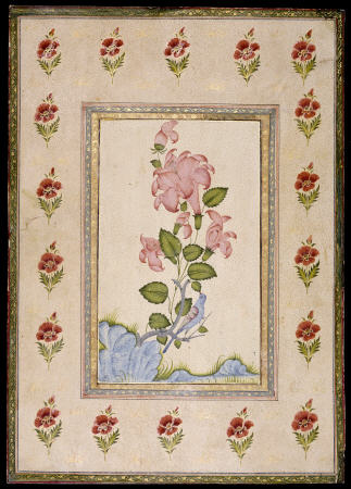 Bird And Flower Study, Mughal India à 