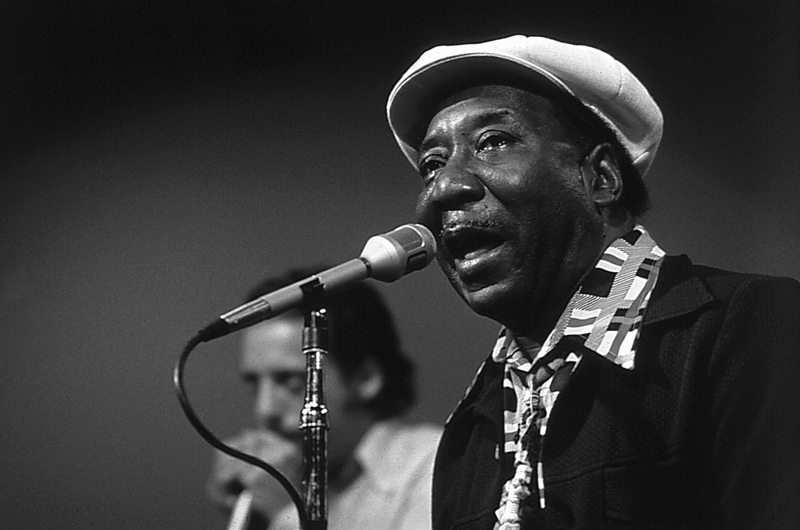 bluesman Muddy Waters on stage à 