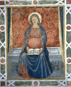 Battista da Vicenza/Vierge du Magnificat