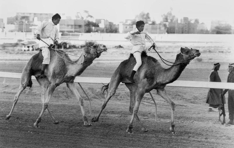 Camel race in Saudi Arabia in honour of Queen Elizabeth II's visit to to the Middle East à 