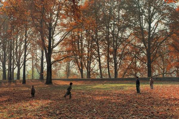 Children playing under huge Chenar trees in autumn, Nishat Bagh, Srinagar (photo)  à 