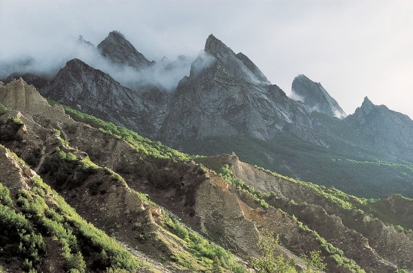 Chirbasa, Gangotri (photo)  à 