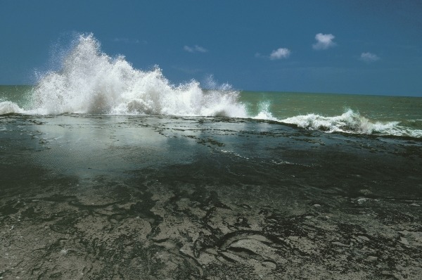 Chorwad known mainly for giant waves breaking against algae-covered rocks (photo)  à 