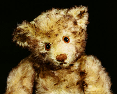 Close Up Of A Steiff ''Dual'' Mohair Teddy Bear, C, 1926 à 