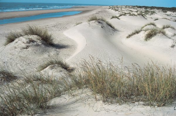 Coastal sand dunes, Kutch (photo)  à 