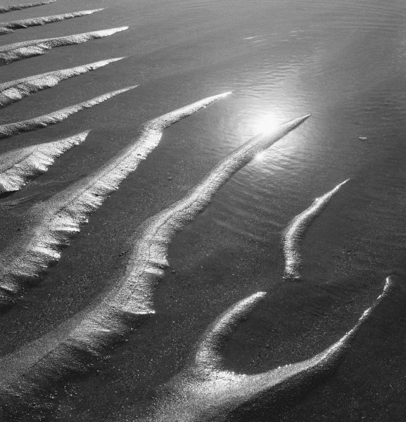 Creepers designs on sand in Porbandar area of Gujarat (b/w photo)  à 