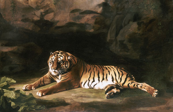 Portrait Of The Royal Tiger à 