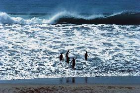 Children bathing in Somnath beach (photo) 