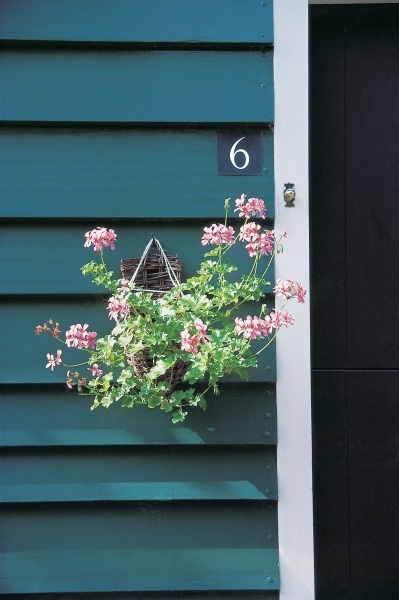 Flower-pot hung from peg on one of the door''s blue slats showing six number (photo)  à 