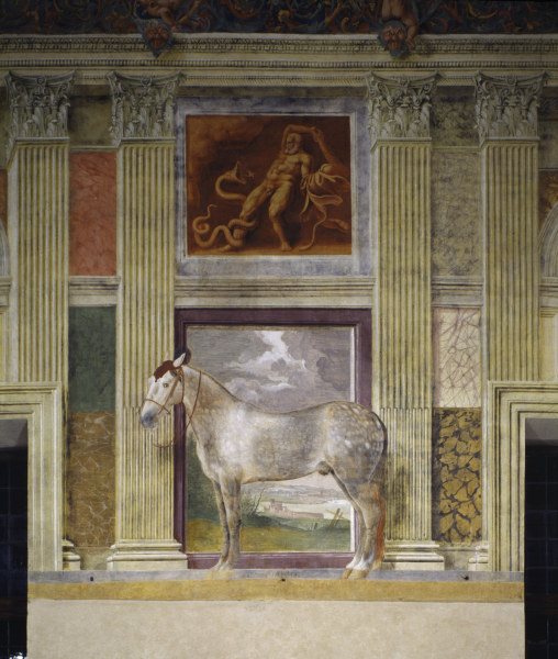 Giulio Romano, Pferd der Gonzaga à 