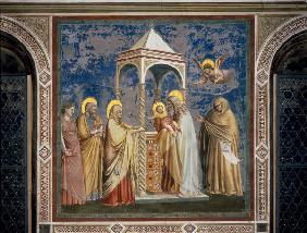 Giotto, Presentation de Jesus au Temple