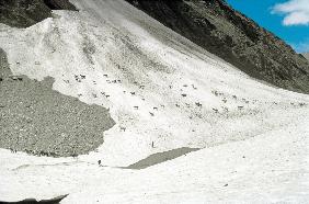 Goats crossing snow-bridge near Amarnath Cave (photo) 