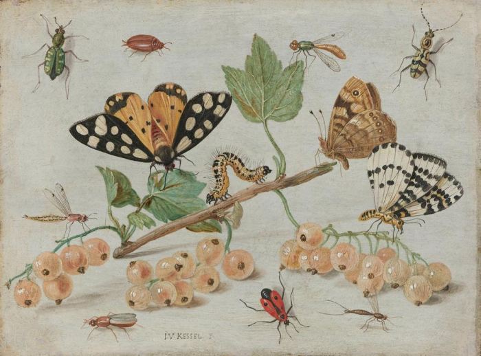 Insects and Fruit à 