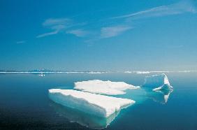 Ice-floe, Baffin Island (photo) 