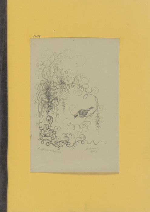 Klebealbum der Marie Auguste Emilie Freiin von Günderrode, Seite 68 à 
