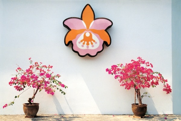 Logo of hotel placed above two bougainvillea pots supposed orchid Pattaya (photo)  à 