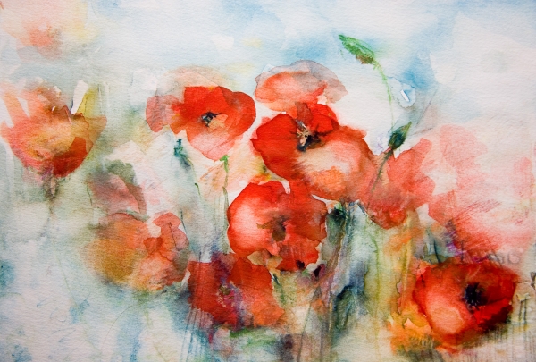 Aquarelles de coquelicots à 