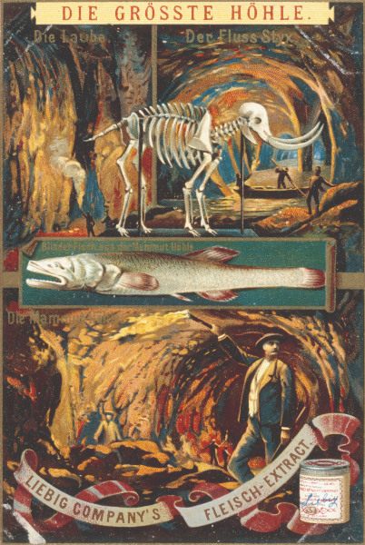 Mammoth Cave , Liebig Card à 