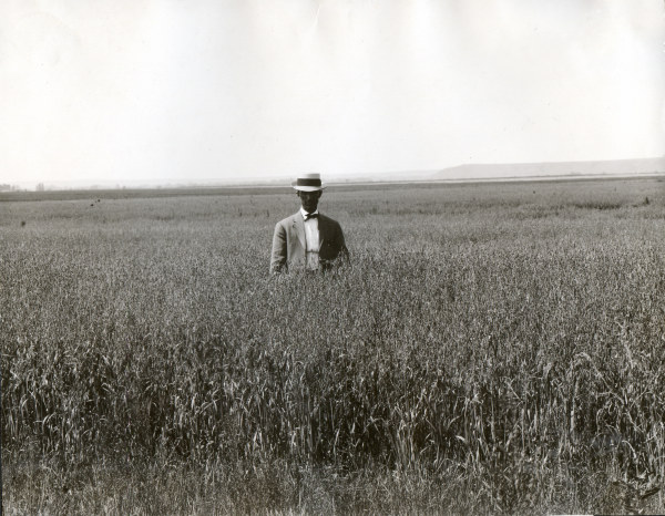Man in oat field / South Dakota / Photo à 