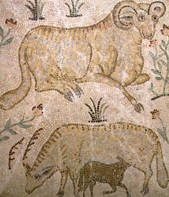 Mosaic plaque depicting a ram and a ewe suckling a lamb, possibly Greek à 