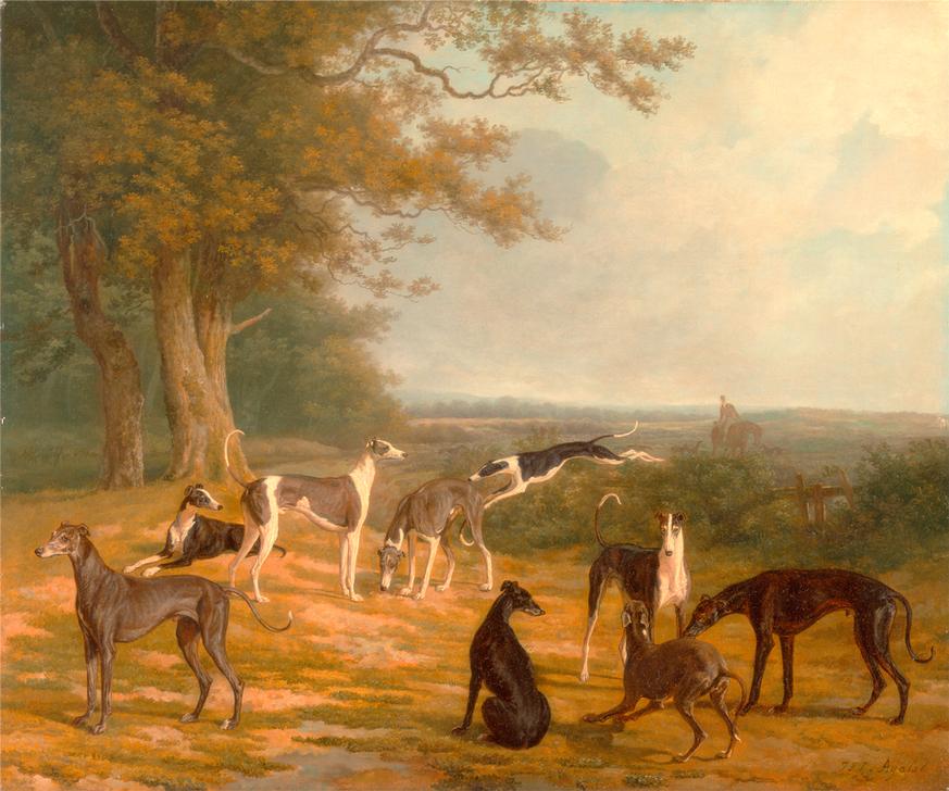 Nine Greyhounds in a Landscape Signed à 