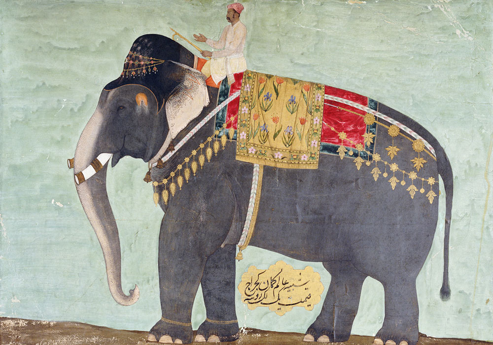 Portrait Of The Elephant  ''Alam-Guman Gajraj'' à 