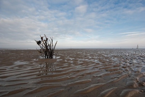 Mer des Wadden près de Cuxhaven à 