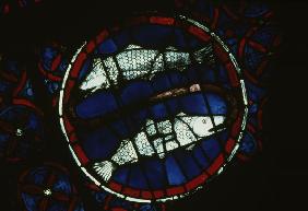 Pisces / French stained glass / 13th-c.