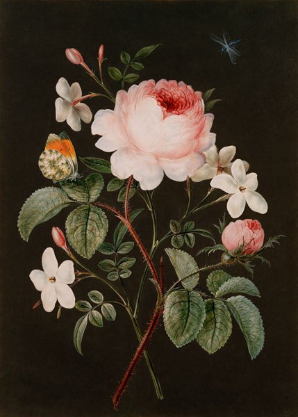 Rose and jasmine flower arrangement à 