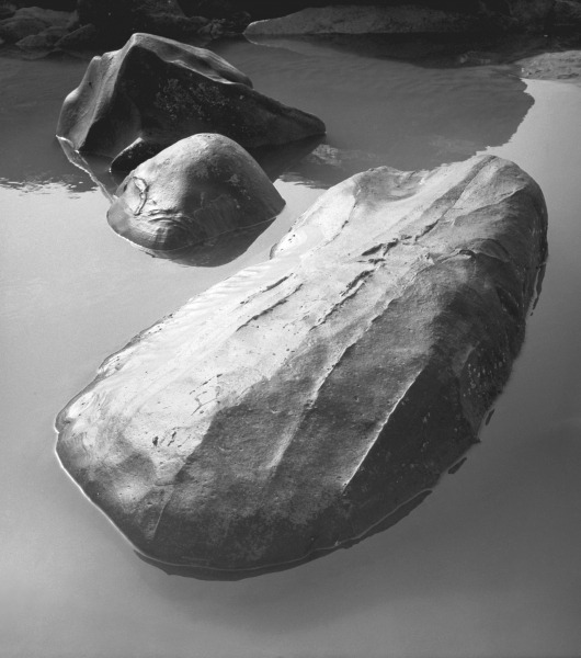 Rock in sea water (b/w photo)  à 