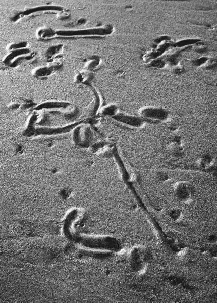 Sand surface, Porbandar II (b/w photo)  à 