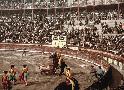 Bullfight in Barcelona