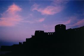 Sea fort (photo) 