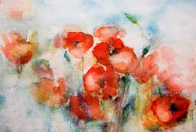 Aquarelles de coquelicots