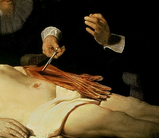 The Anatomy Lesson of Dr. Nicolaes Tulp, 1632 (detail of 7543) à 