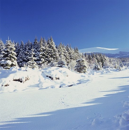 The Wicklow Mountains in Winter à 