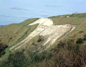 The Westbury White Horse