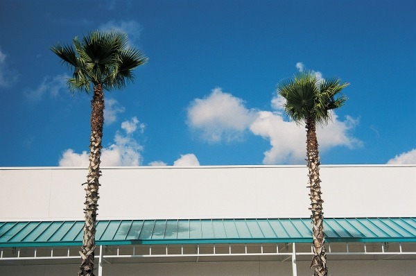 Two straight palms and intersecting roof of shopping complex (photo)  à 
