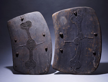 Two Lumi Shields In Rectangular Form à 
