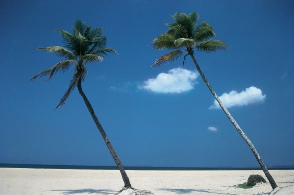 Typical beach of Goa (photo)  à 
