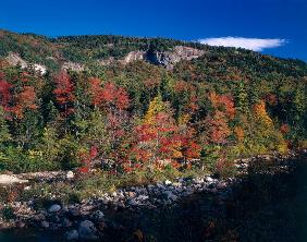 View in the Appalachian Mountains (photo) 